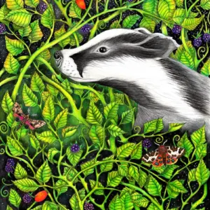 Fine Art Print - Badger in the Brambles