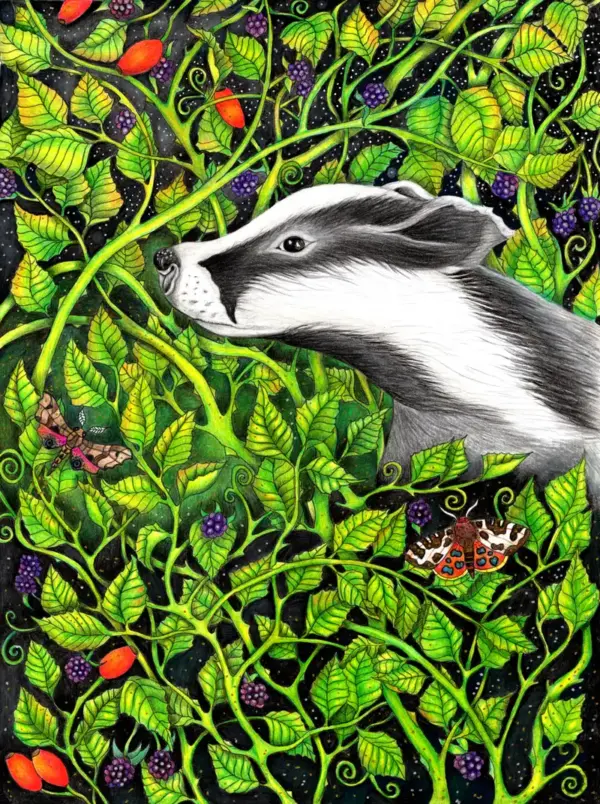 Fine Art Print - Badger in the Brambles