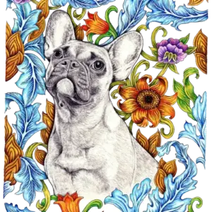Fine Art Print - French Bulldog