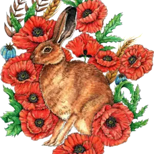 Fine Art Print - Hare in Poppies