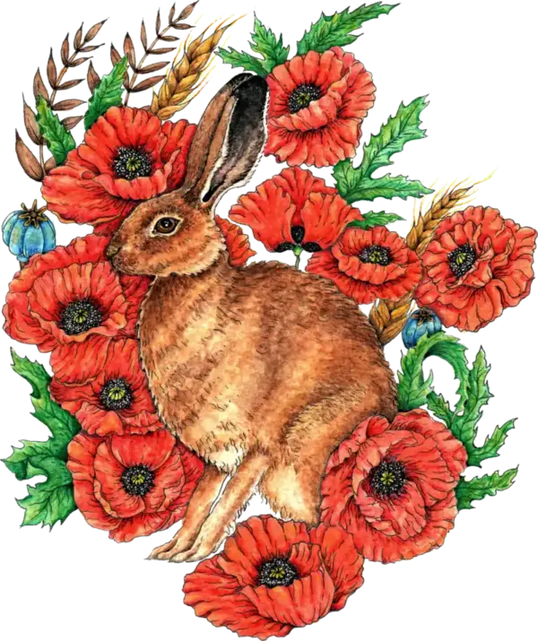 Fine Art Print - Hare in Poppies