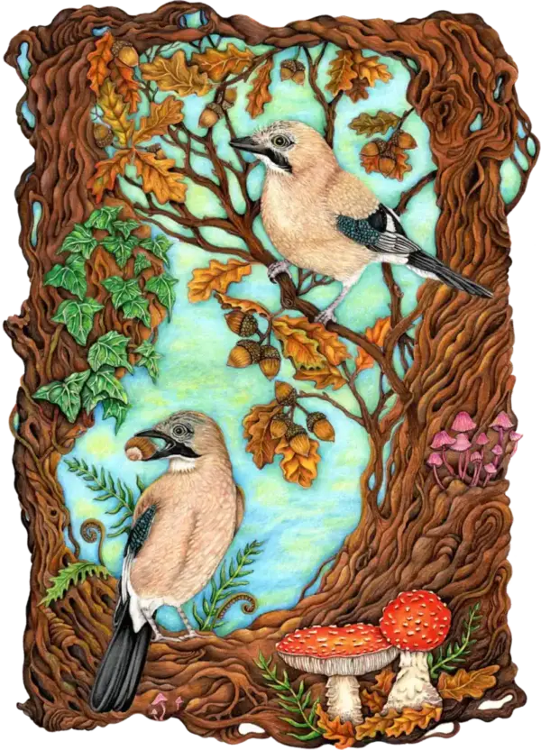 Fine Art Print - Acorn Collectors