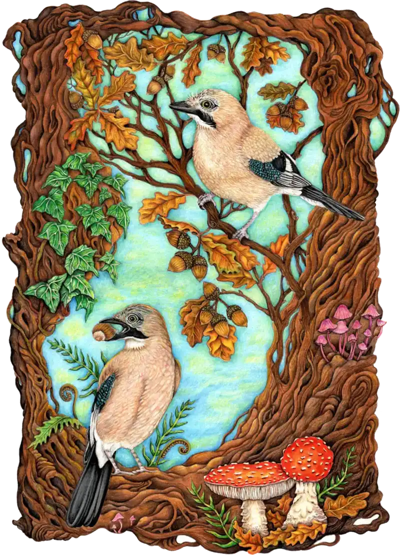 A6 Greeting Card - Acorn Collectors - Image 2