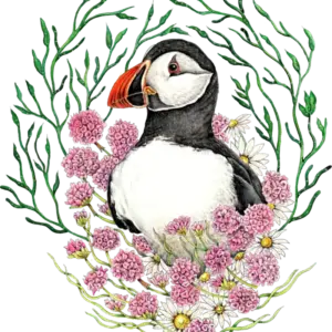 Fine Art Print - Puffin in Sea Pinks