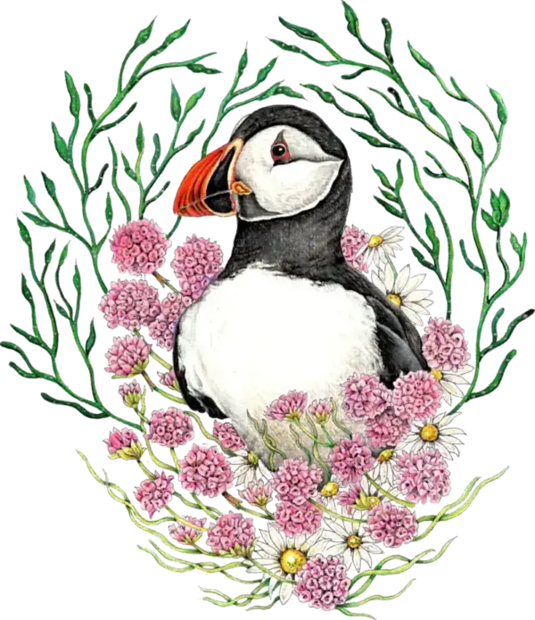 Fine Art Print - Puffin in Sea Pinks