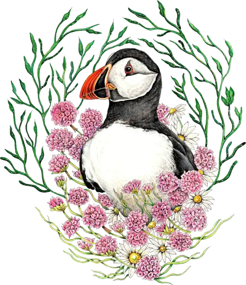 Original Art - Puffin in Sea Pinks (Framed) - Image 3