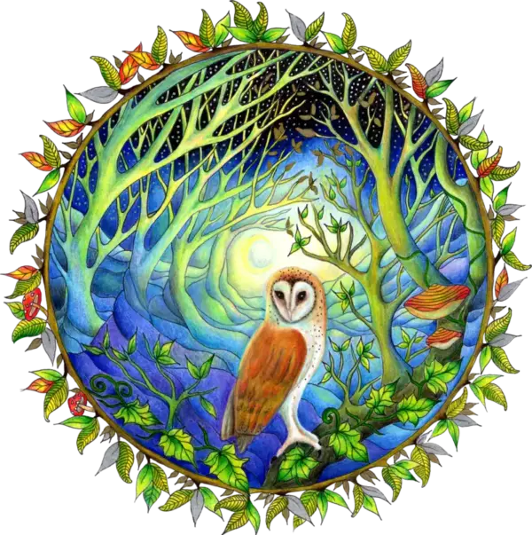 Fine Art Print - Dawn Light