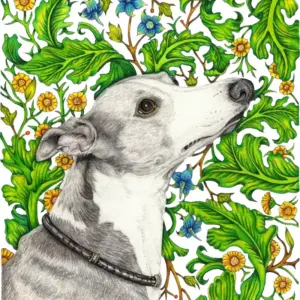 Fine Art Print - Floral Greyhound