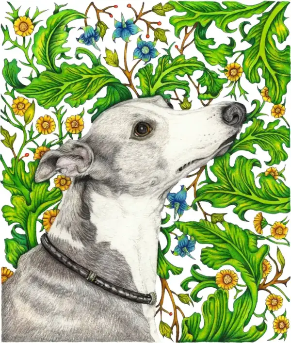 Fine Art Print - Floral Greyhound