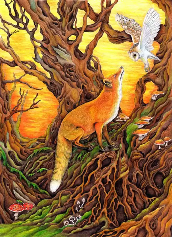Fine Art Print - Fox and the Owl