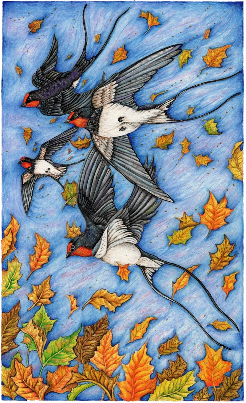 A6 Greeting Card - The Journey - Image 2