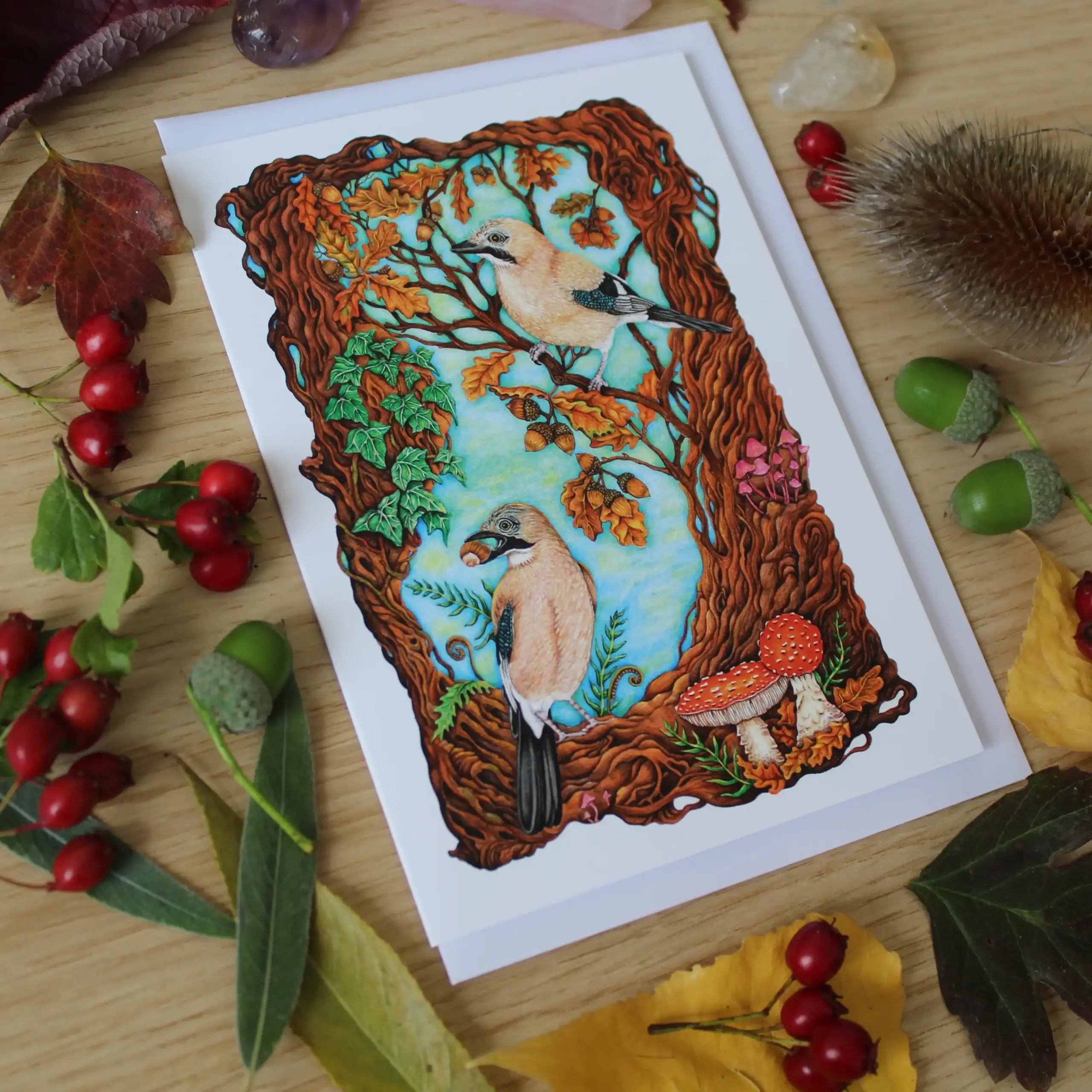 A6 Greeting Card - Acorn Collectors